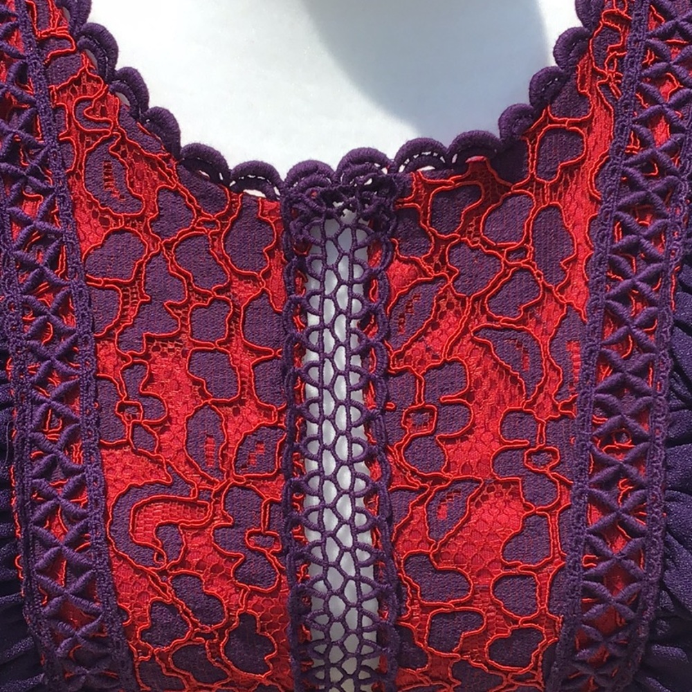 Mystic red & purple lace dress w/ peek-a-boo net - Picture 4 of 16